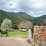 Maison De *